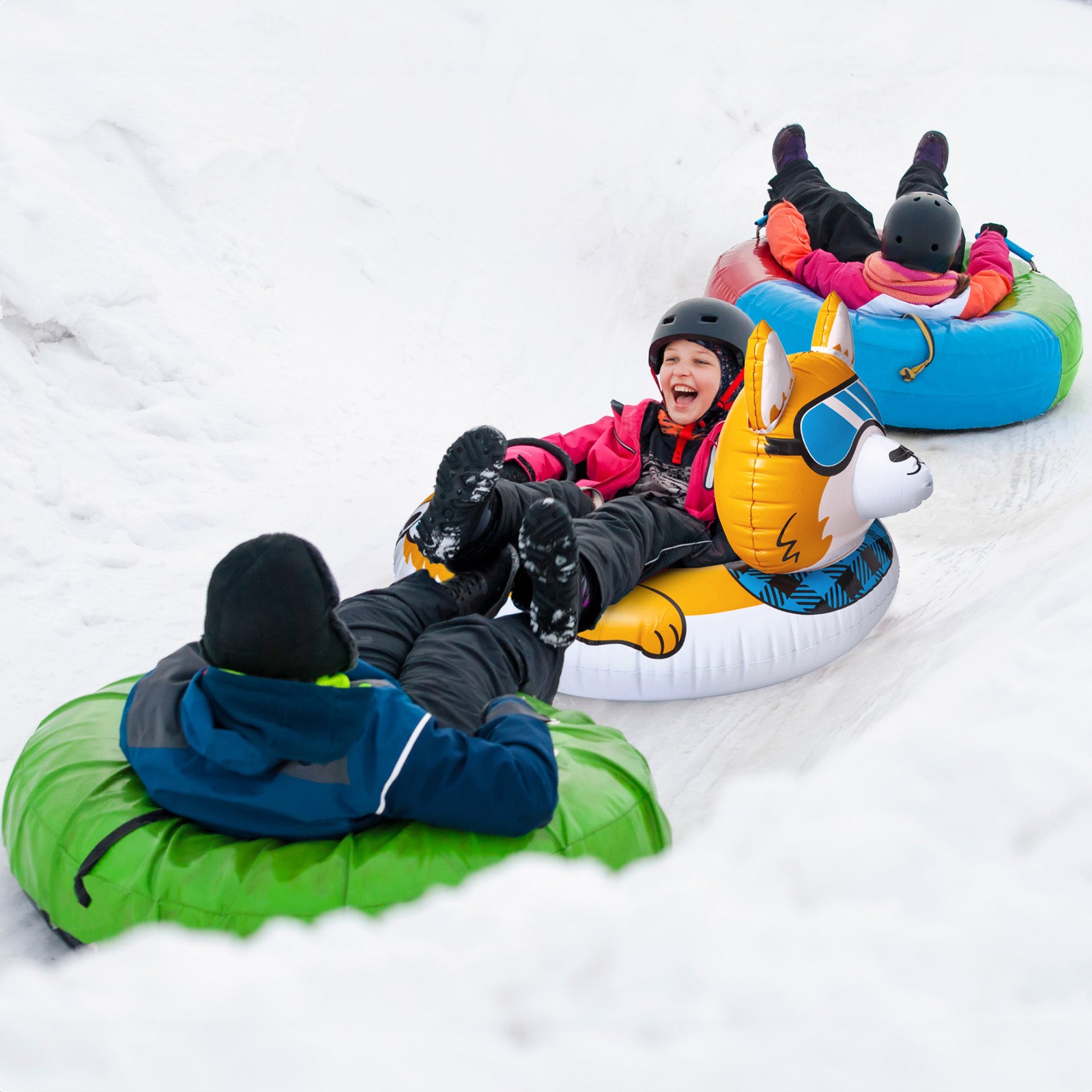 Corgi Snow Tube