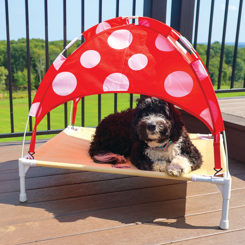 Outdoor dog bed with canopy hotsell