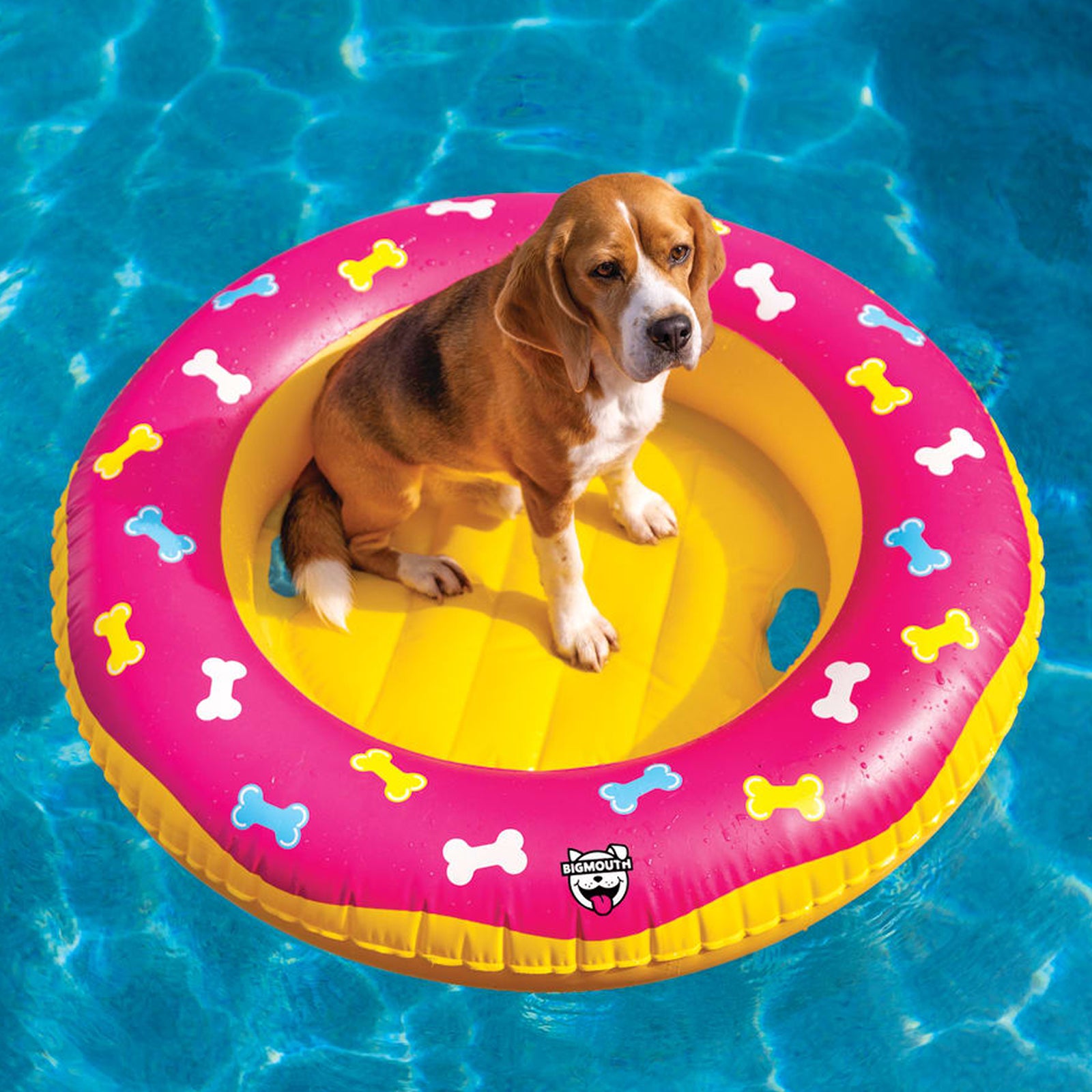 Inflatable dog outlet pool float