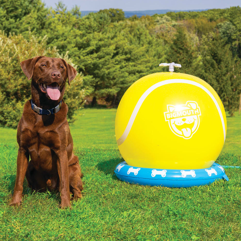 BigMouth Pets Tennis Ball Sprinkler