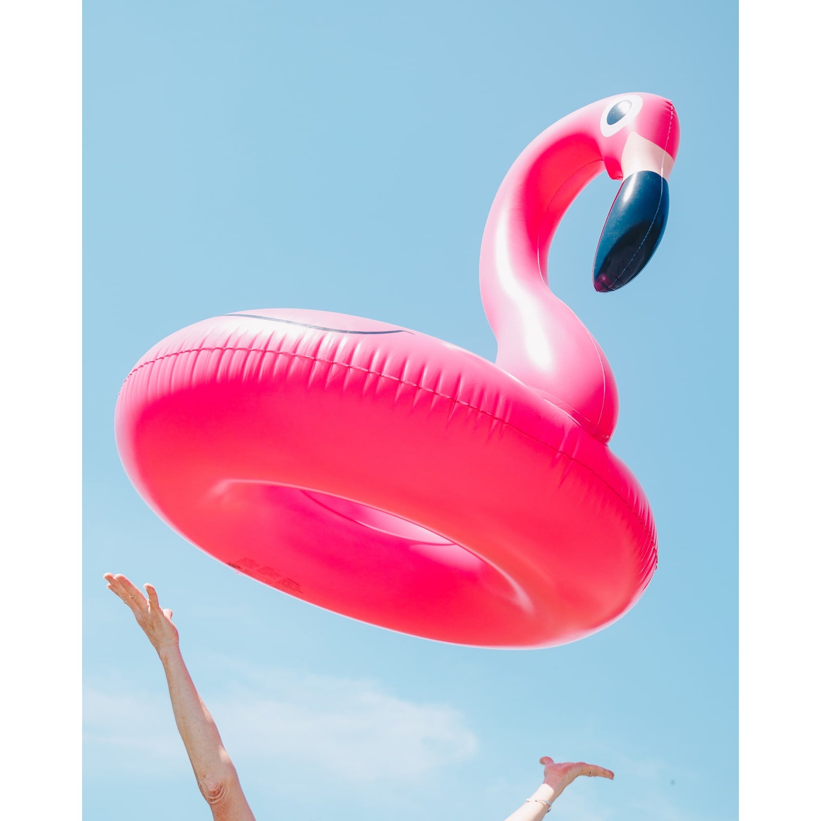 Huge pink best sale flamingo float