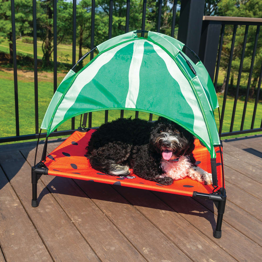 Watermelon dog outlet bed