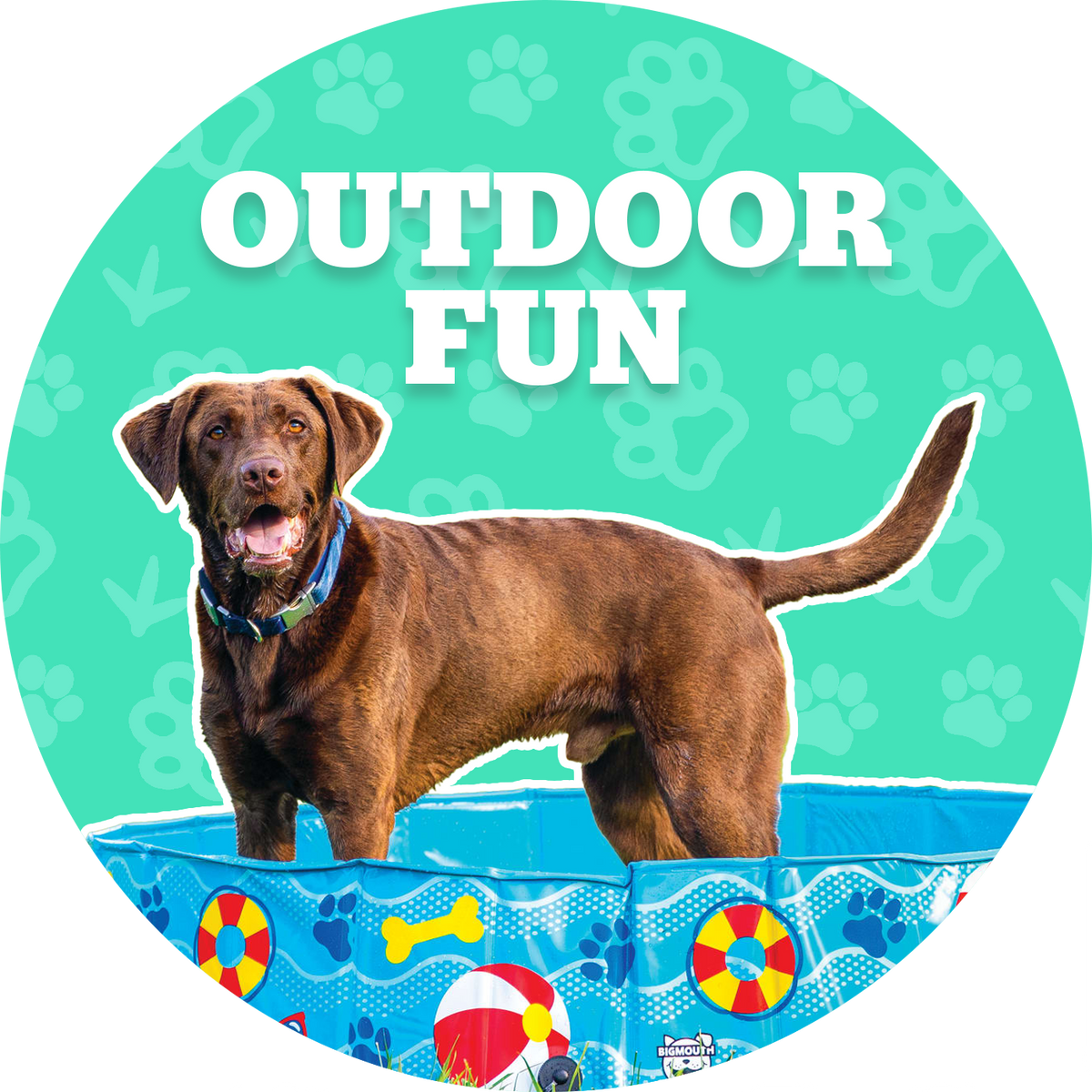 BigMouth Inc Lot de 2 Bateaux pour Chien BigMouth Inc Lot de 2 Bateaux pour Chien