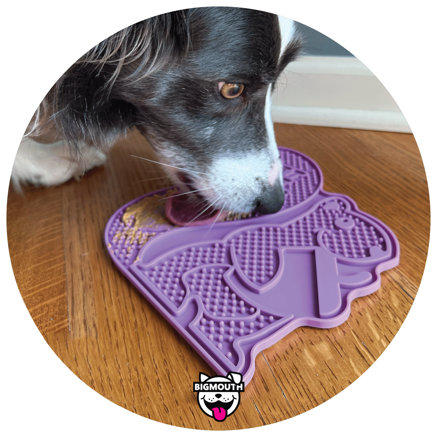 E Catalogs e-catalogs