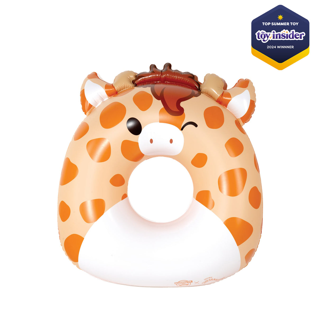Pool Floats | BigMouth Inc