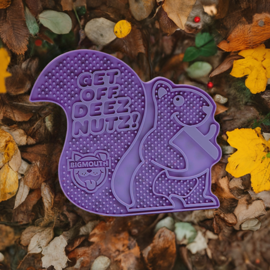 BigMouth Inc Go Nuts Leckmatte Für Hunde – Mit Saugnäpfen, Lebensmittelechtem Silikon & Lustigem Eichhörnchen-Design