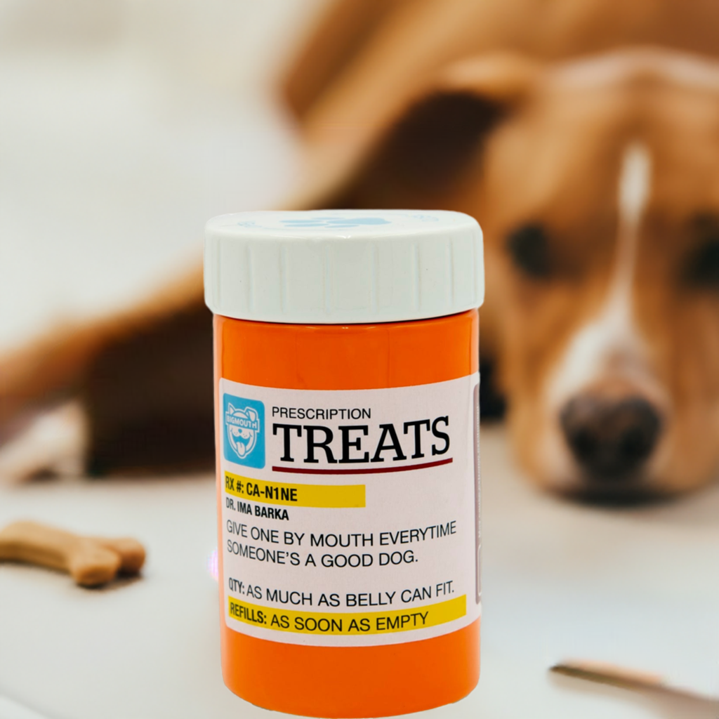 BigMouth Pets "Prescription" Treat Jar