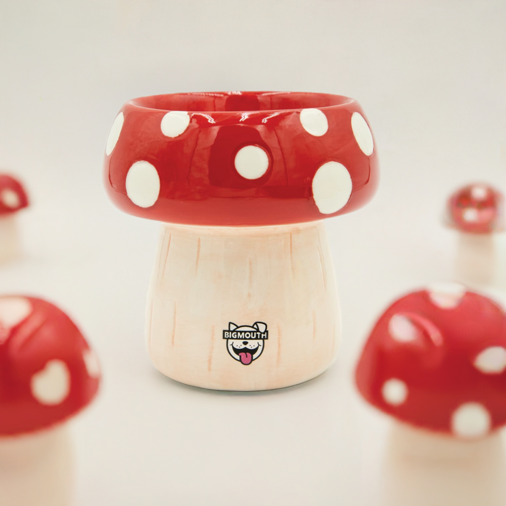 BigMouth 'Shroom' Cat and Dog Bowl