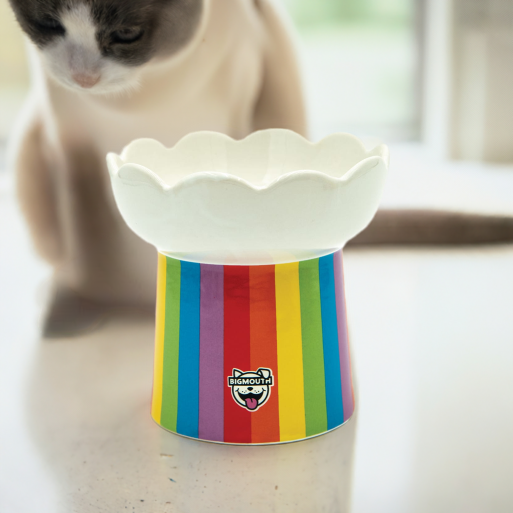 "Somewhere Over the Rainbow" Cat Bowl