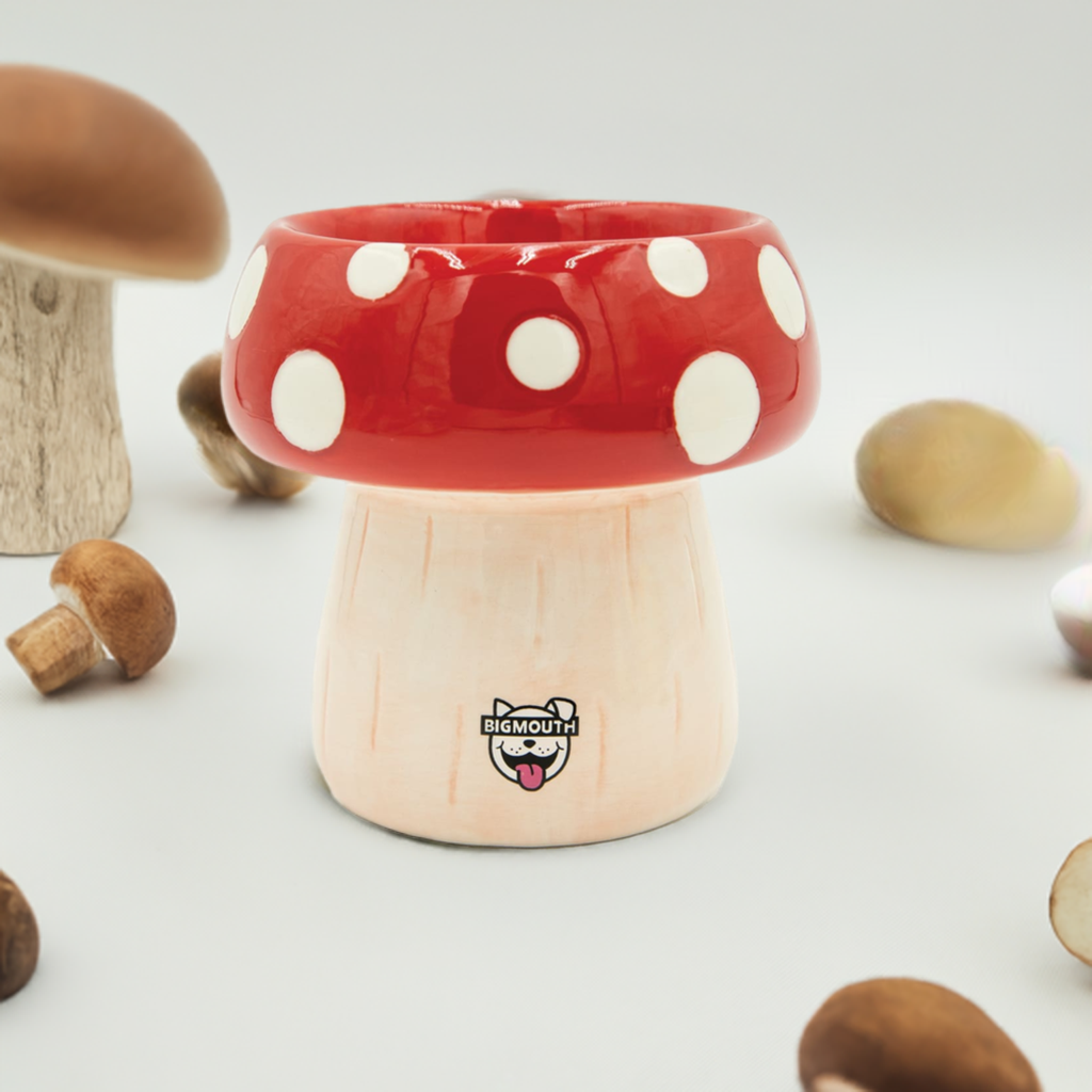 BigMouth 'Shroom' Cat and Dog Bowl