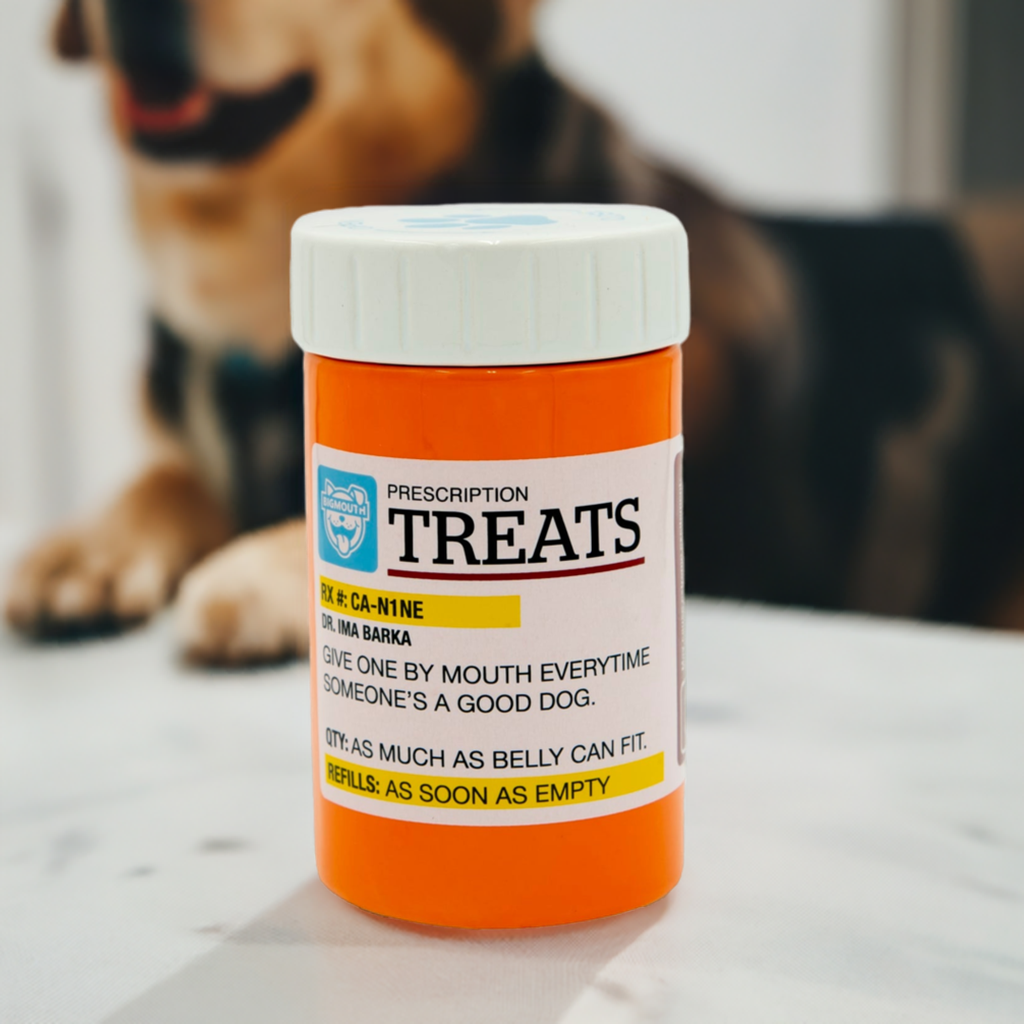 BigMouth Pets "Prescription" Treat Jar