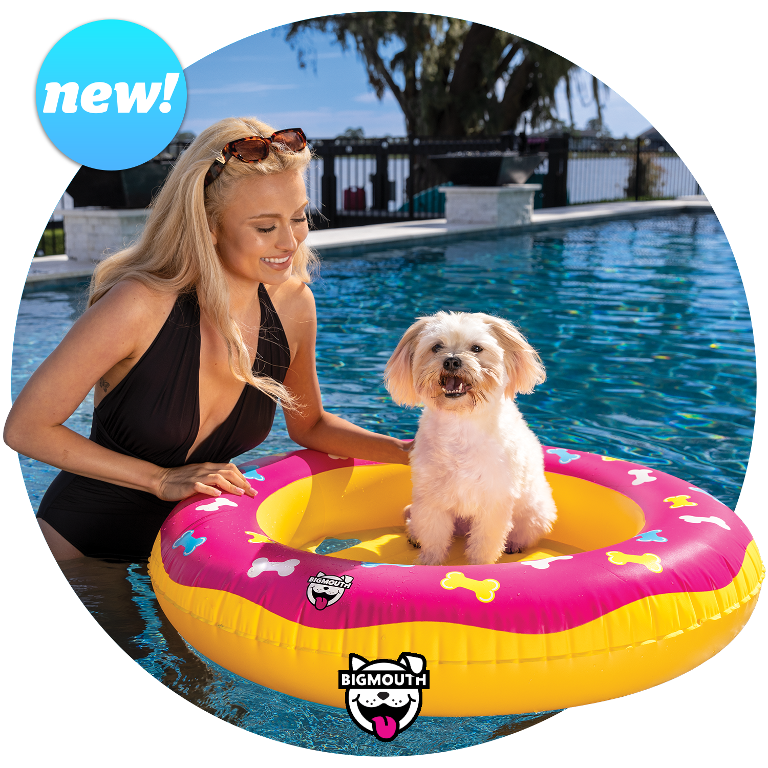 Dog pool float with top canopy