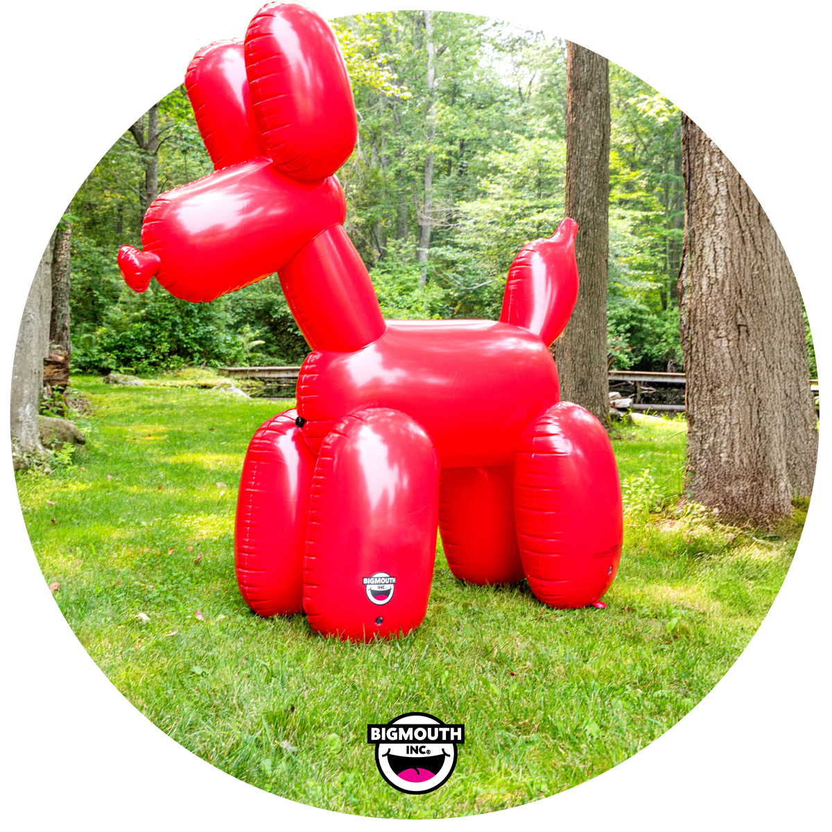 BigMouth Inc Go Nuts Leckmatte Für Hunde – Mit Saugnäpfen, Lebensmittelechtem Silikon & Lustigem Eichhörnchen-Design