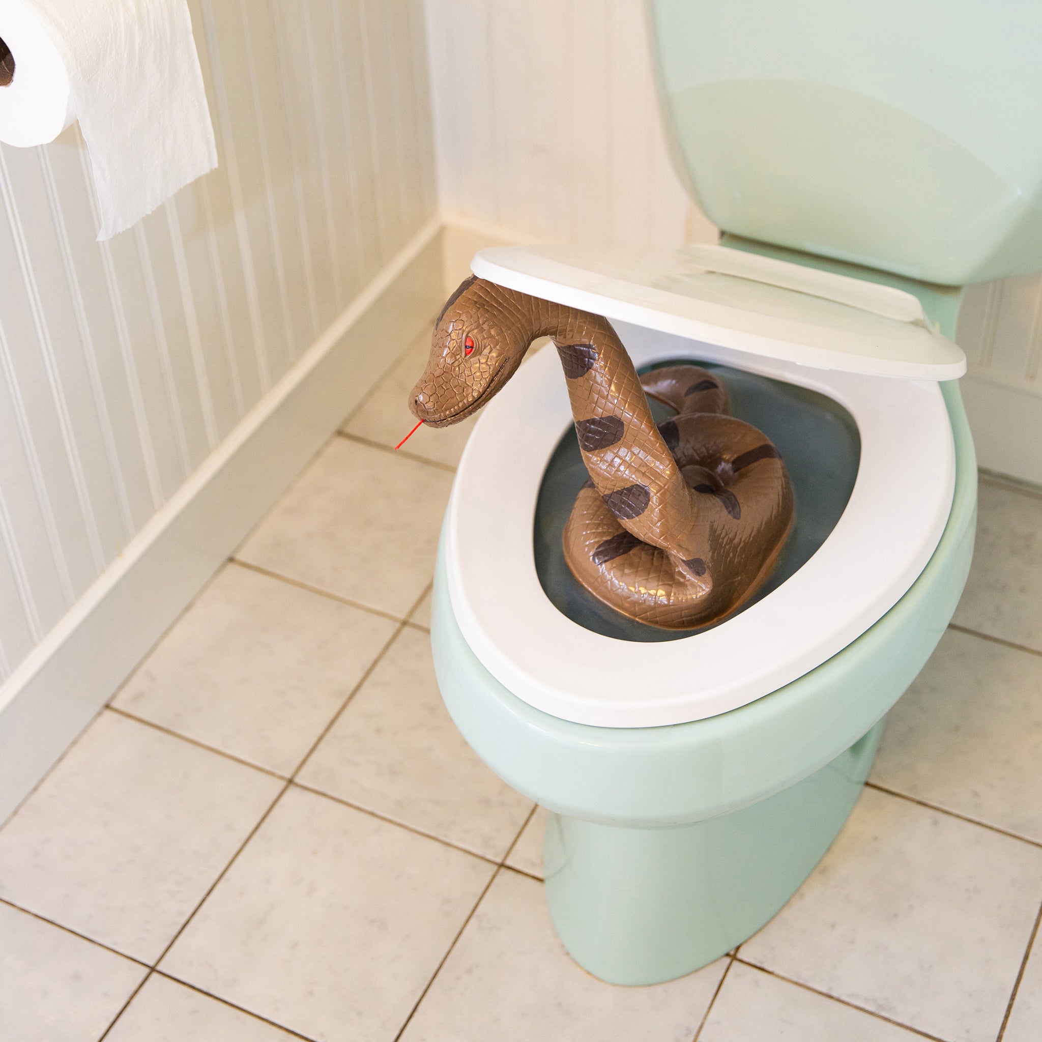 Toilet Snake