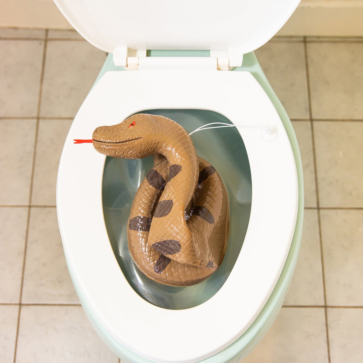 Toilet Snake