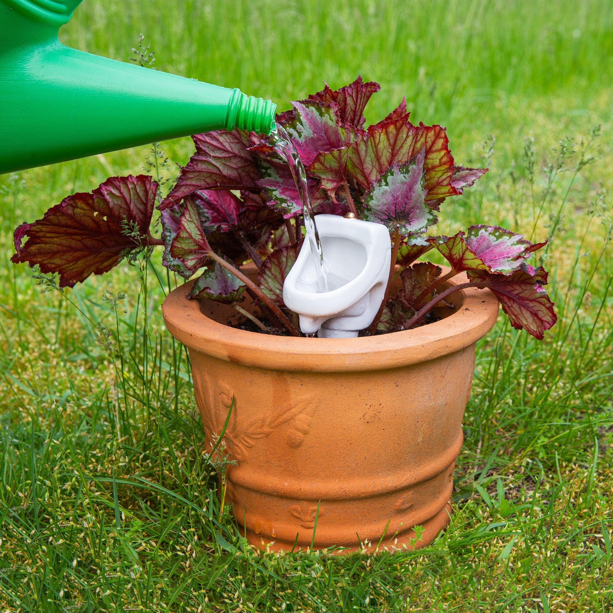 self watering plant stakes Urinal Plant Stake