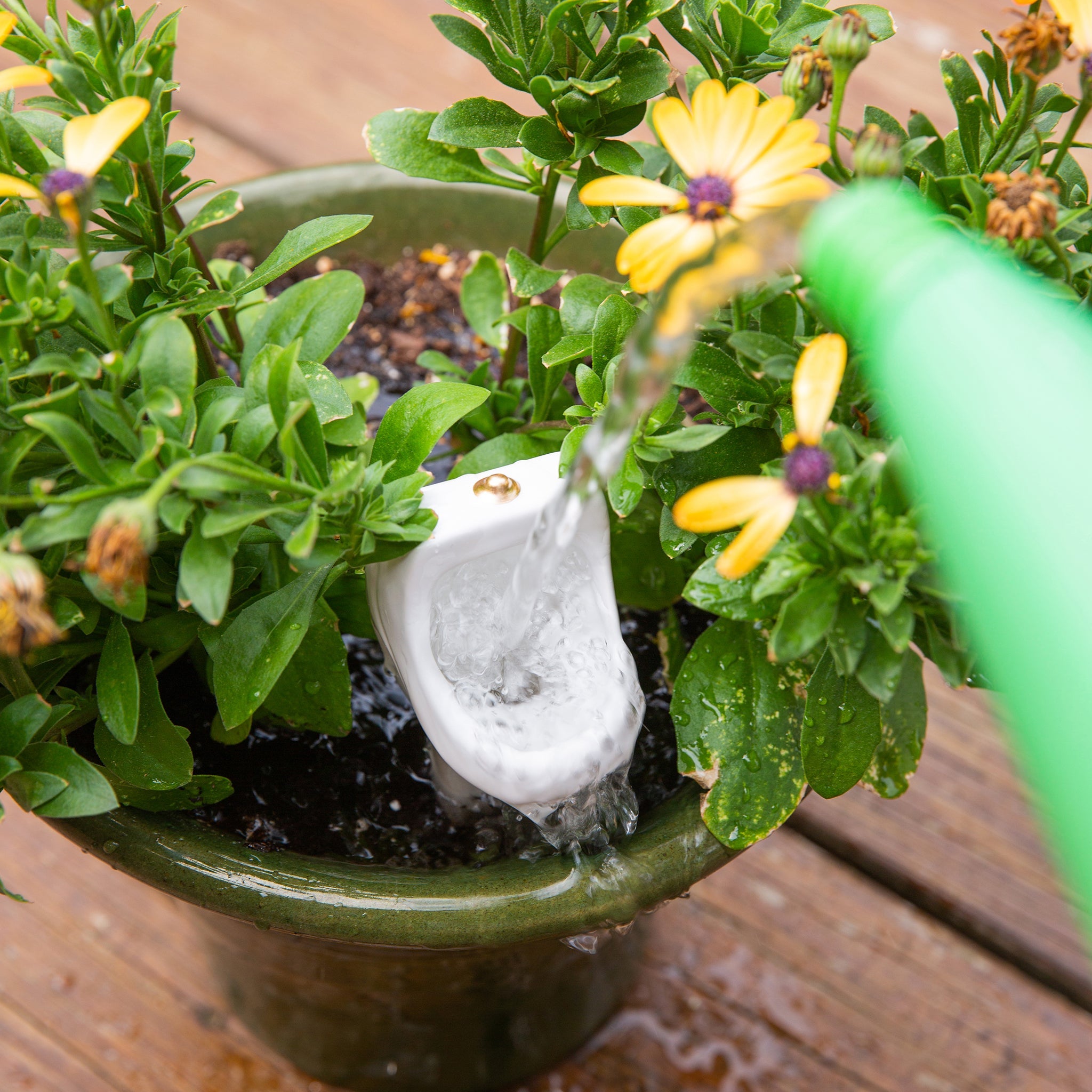 watering stakes for potted plants Urinal Plant Stake