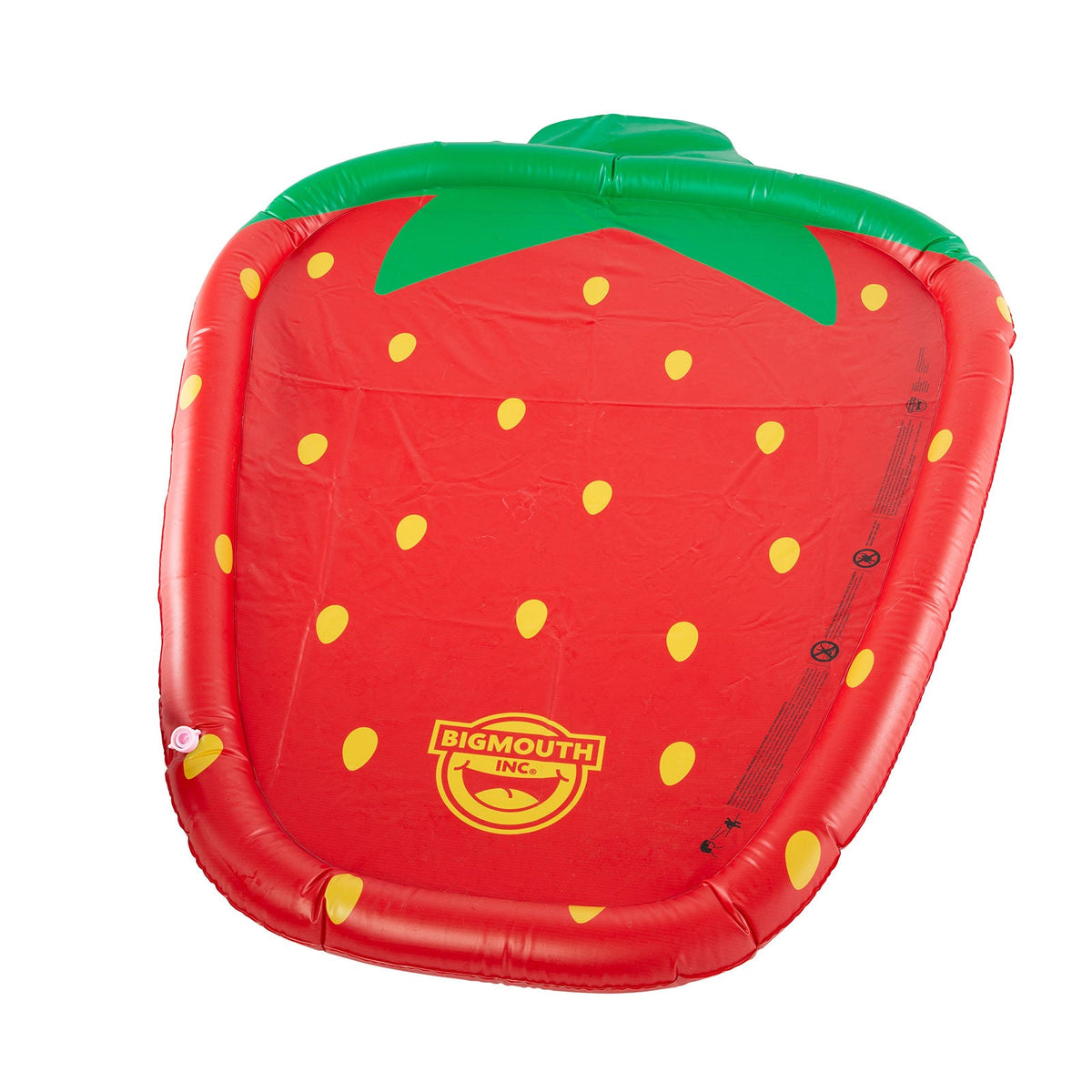 22-BSM-4241-Strawberry-