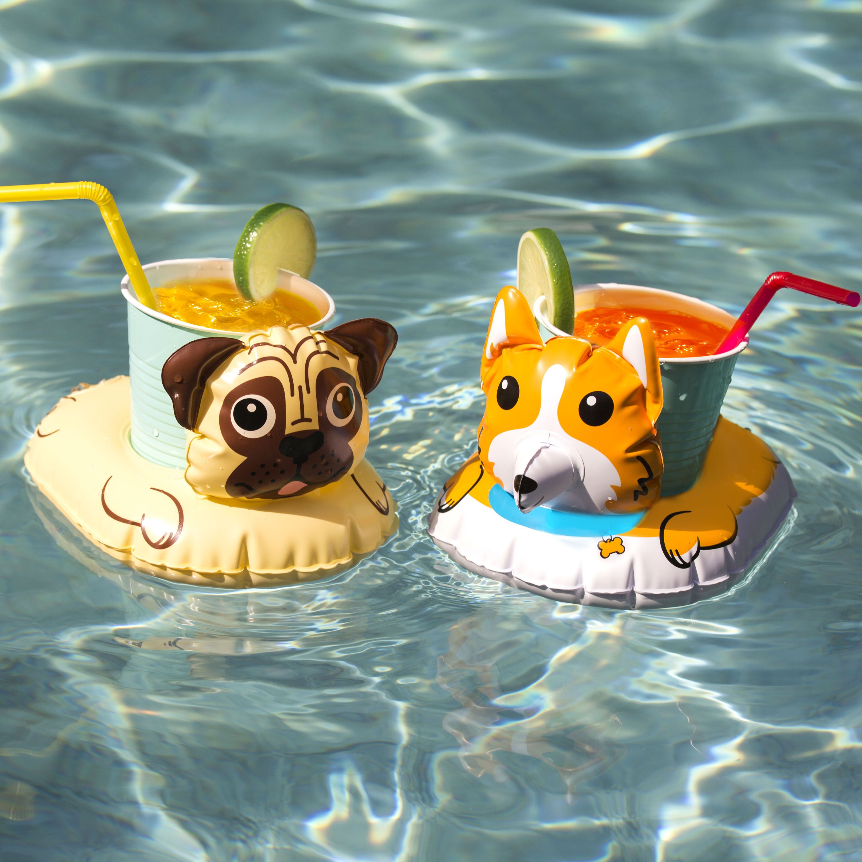 Dog Beverage Boats (2-Pack)